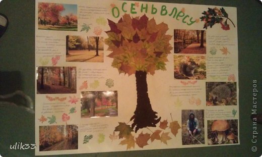 Картинки осенняя стенгазета Картинки осенняя стенгазета